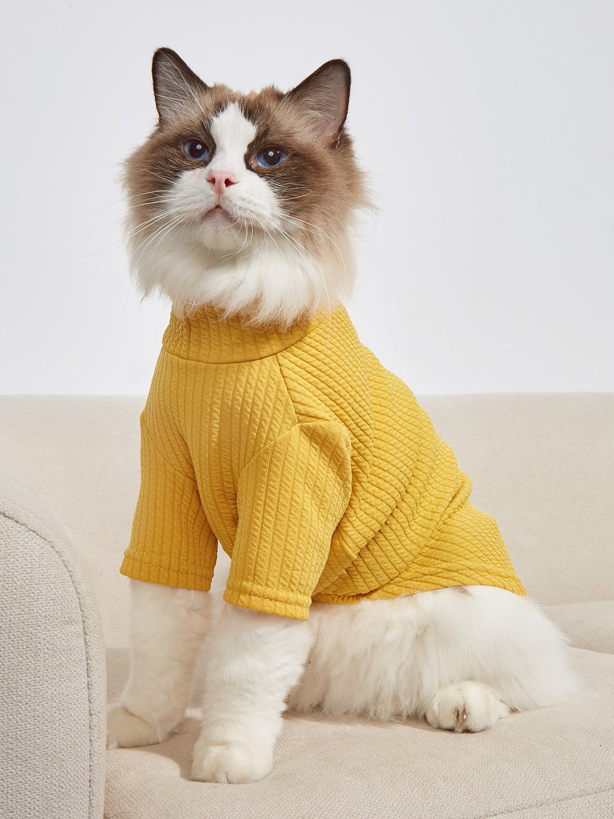 Ribbed Pet T-Shirt for Cozy, Polished Everyday Style