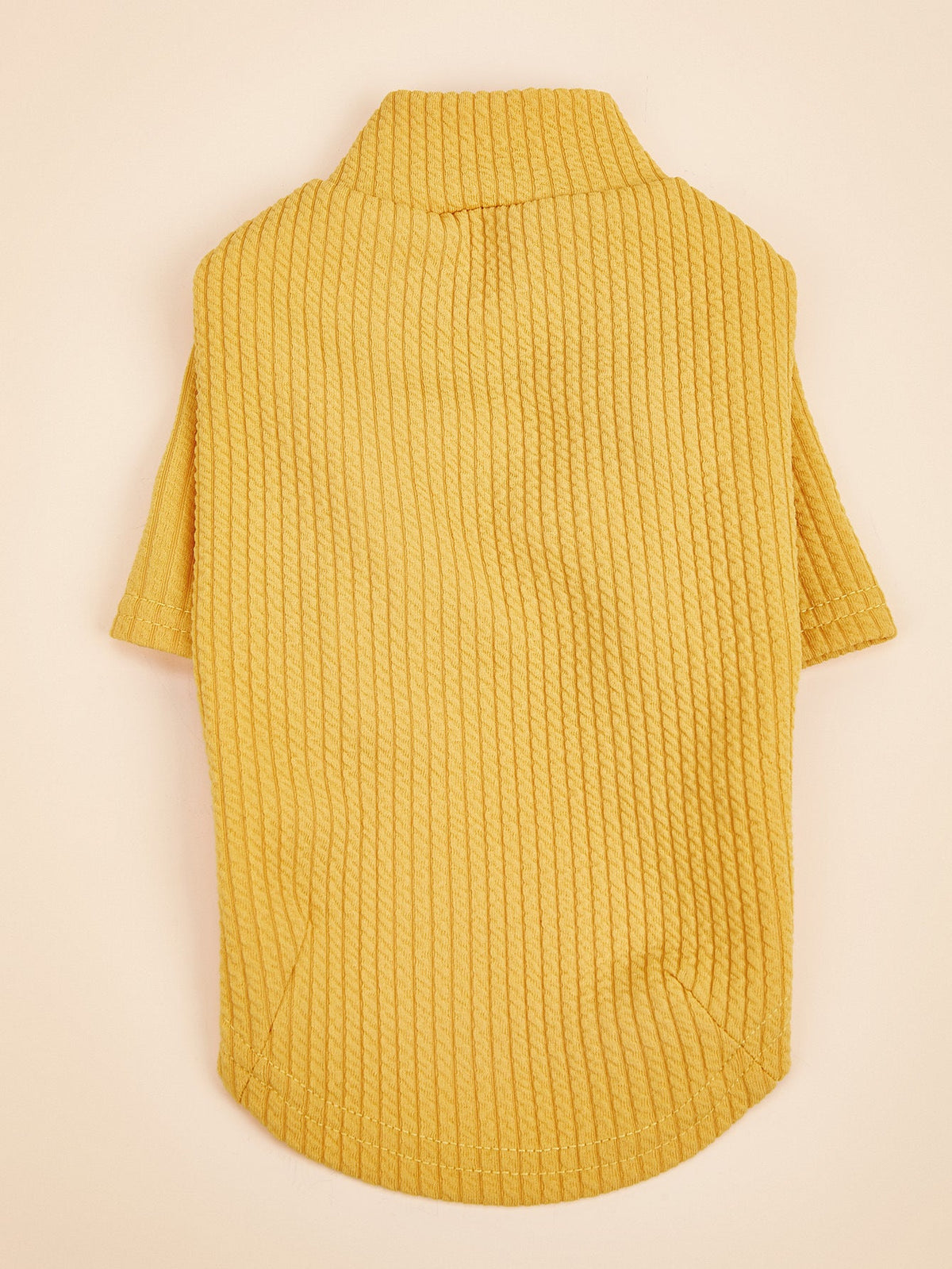Ribbed Pet T-Shirt for Cozy, Polished Everyday Style