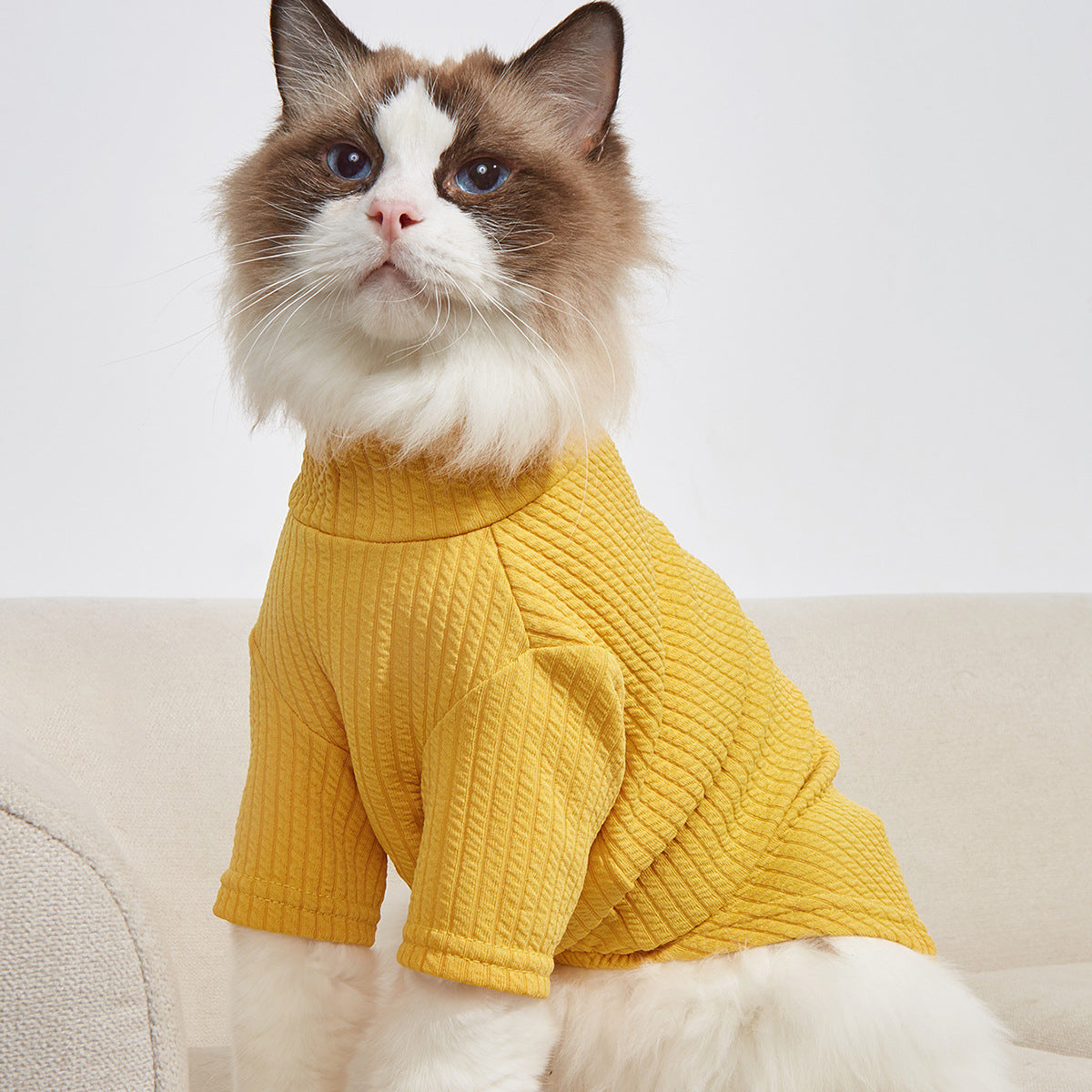 Ribbed Pet T-Shirt for Cozy, Polished Everyday Style