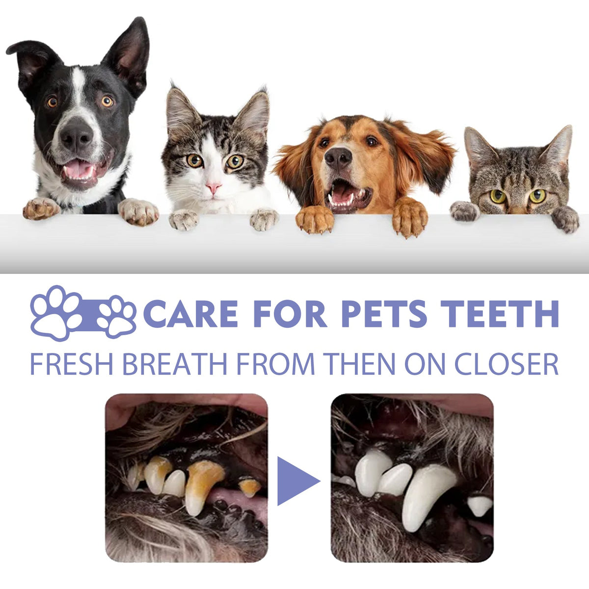 Pet Oral Care Spray for Fresh Breath & Cleaner Teeth