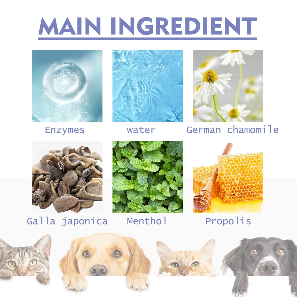 Pet Oral Care Spray for Fresh Breath & Cleaner Teeth