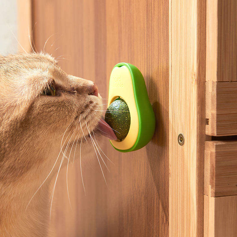 Rotating Interactive Cat Toy for Fresh-Breath Play