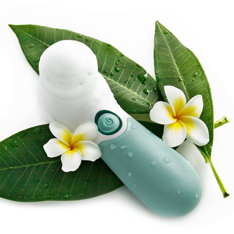Waterproof Facial Cleansing Spin Brush Set with 3 Heads