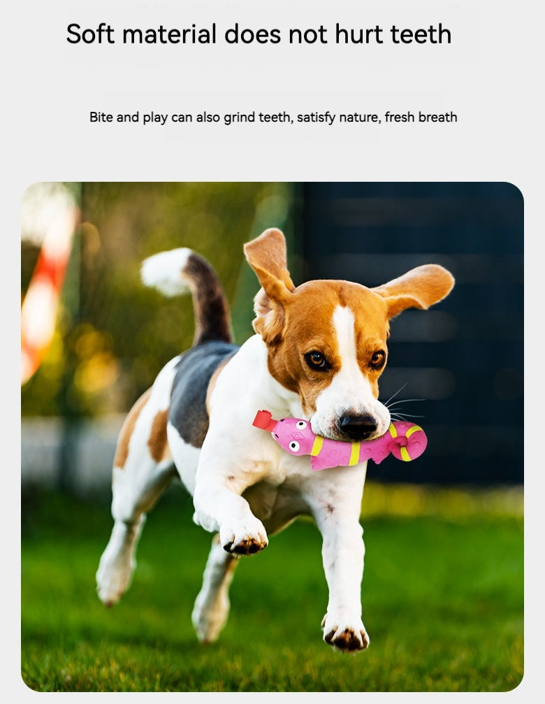 Textured Squeaky Dog Toy for Gentle Chewing & Play