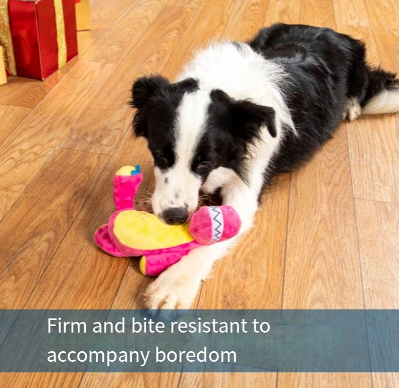Interactive Dog Toy: Squeaky Dinosaur for Dental Play