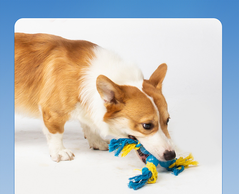 Interactive Dog Rope Toy for Tug, Fetch & Dental Play