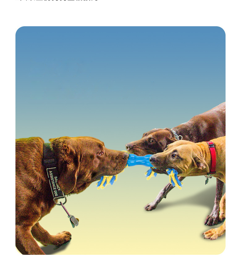 Interactive Dog Rope Toy for Tug, Fetch & Dental Play