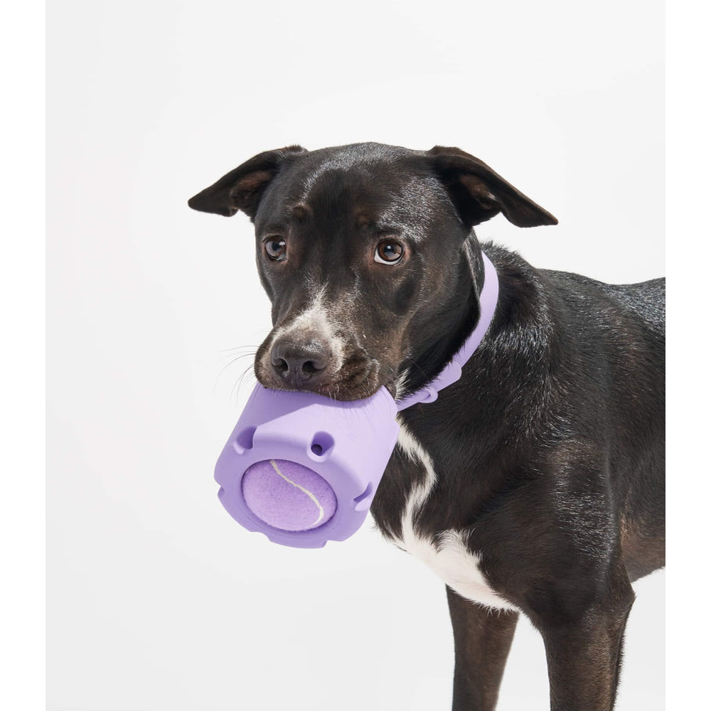Interactive Tennis Cup Dog Toy for More Engaging Fetch