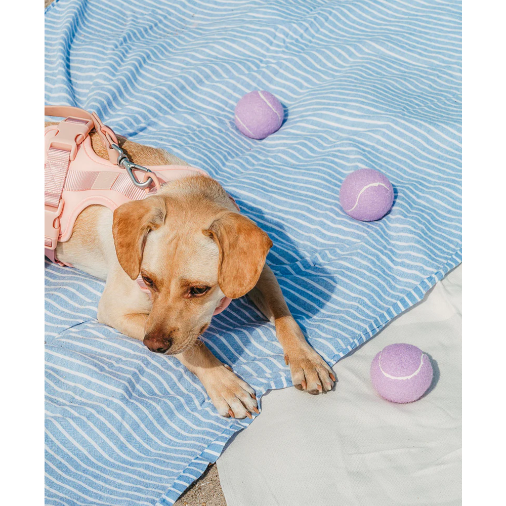 Interactive Tennis Cup Dog Toy for More Engaging Fetch