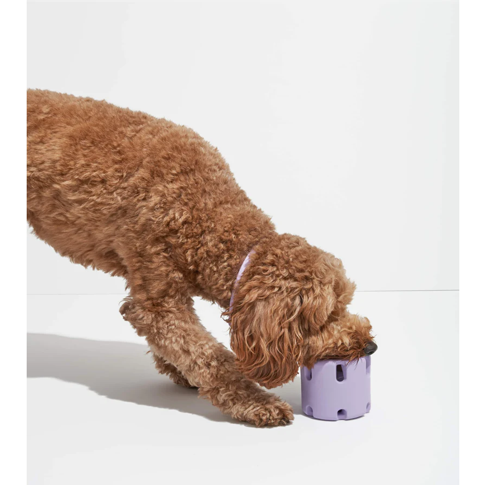 Interactive Tennis Cup Dog Toy for More Engaging Fetch