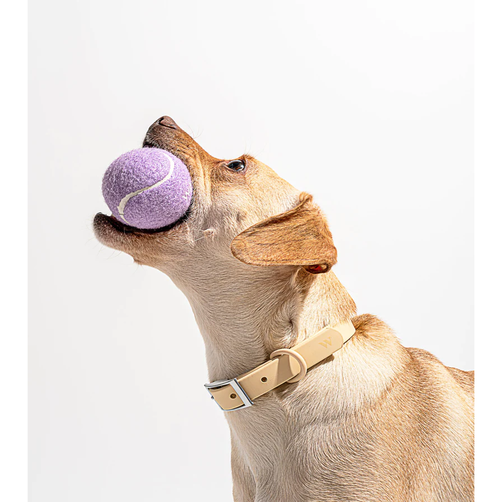 Interactive Tennis Cup Dog Toy for More Engaging Fetch