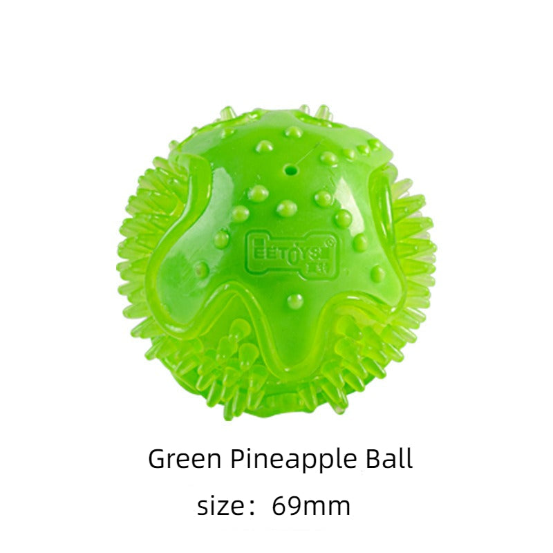 Dog Dental Chew Toy for Bouncy, Interactive Playtime