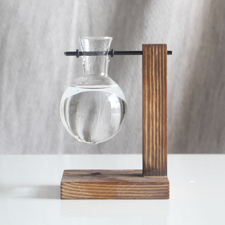 Transparent Bulb Vase With Wood Stand For Cuttings