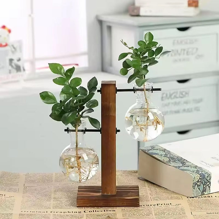 Transparent Bulb Vase With Wood Stand For Cuttings