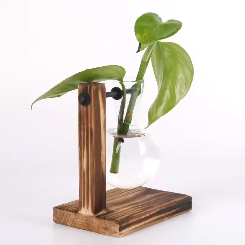 Transparent Bulb Vase With Wood Stand For Cuttings