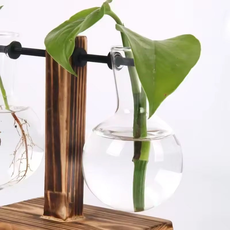 Transparent Bulb Vase With Wood Stand For Cuttings
