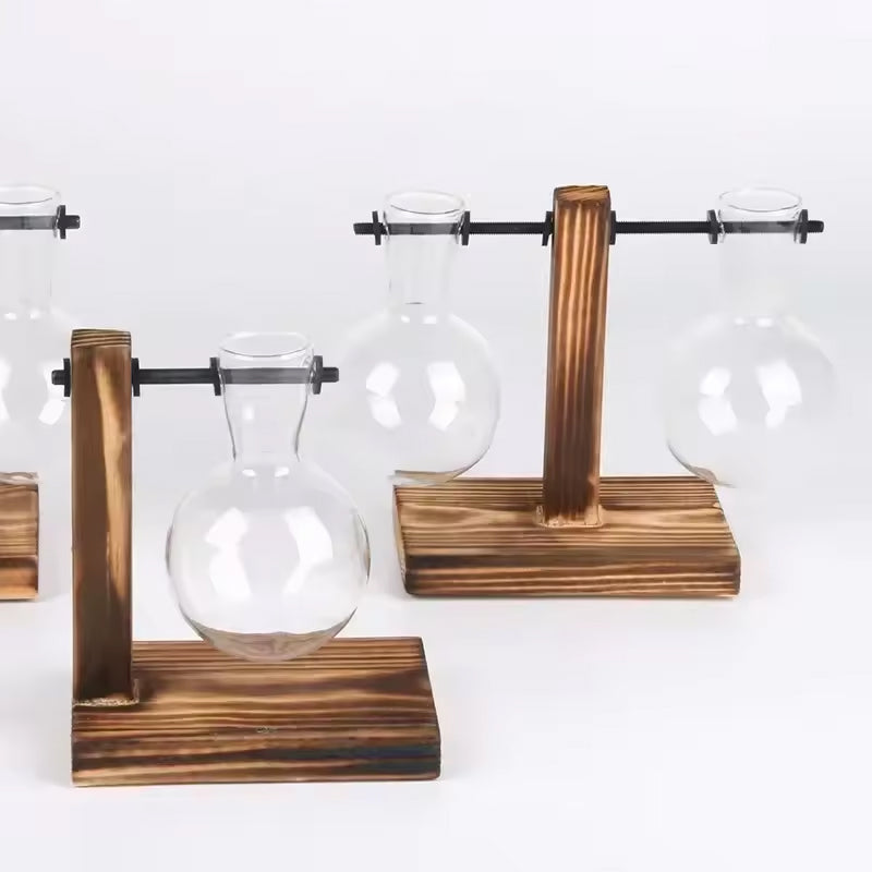 Transparent Bulb Vase With Wood Stand For Cuttings