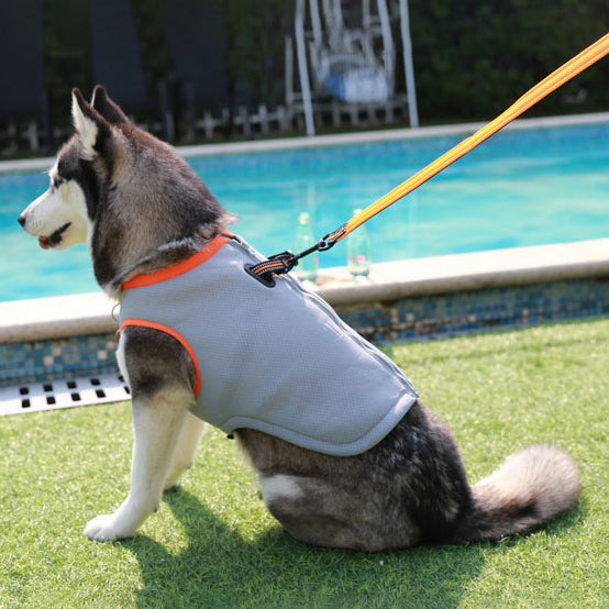 Dog Cooling Vest – Breathable Summer Outdoor Gear