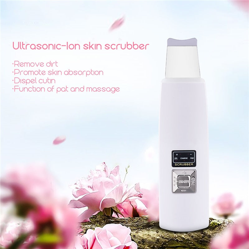Ultrasonic Facial Cleansing Device with Steel Probe