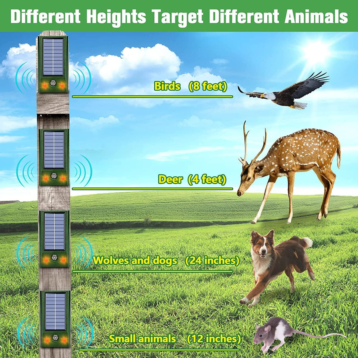 Solar Ultrasonic Animal Repeller for Outdoor Yards