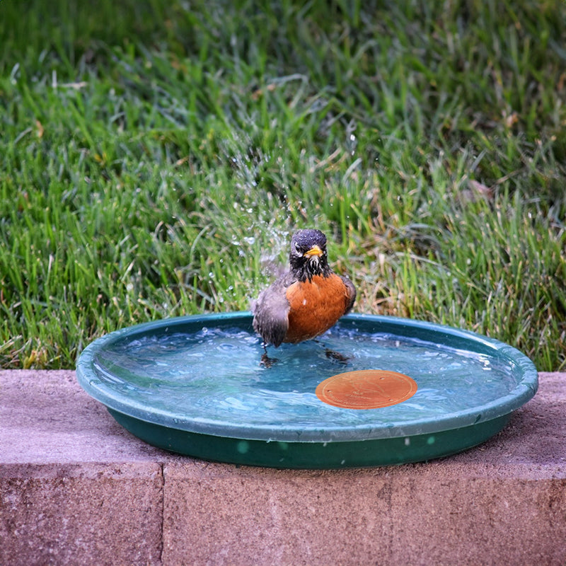 Copper Bird Bath Tray for a More Inviting Water Spot