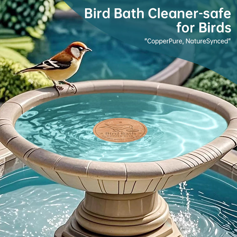 Copper Bird Bath Tray for a More Inviting Water Spot