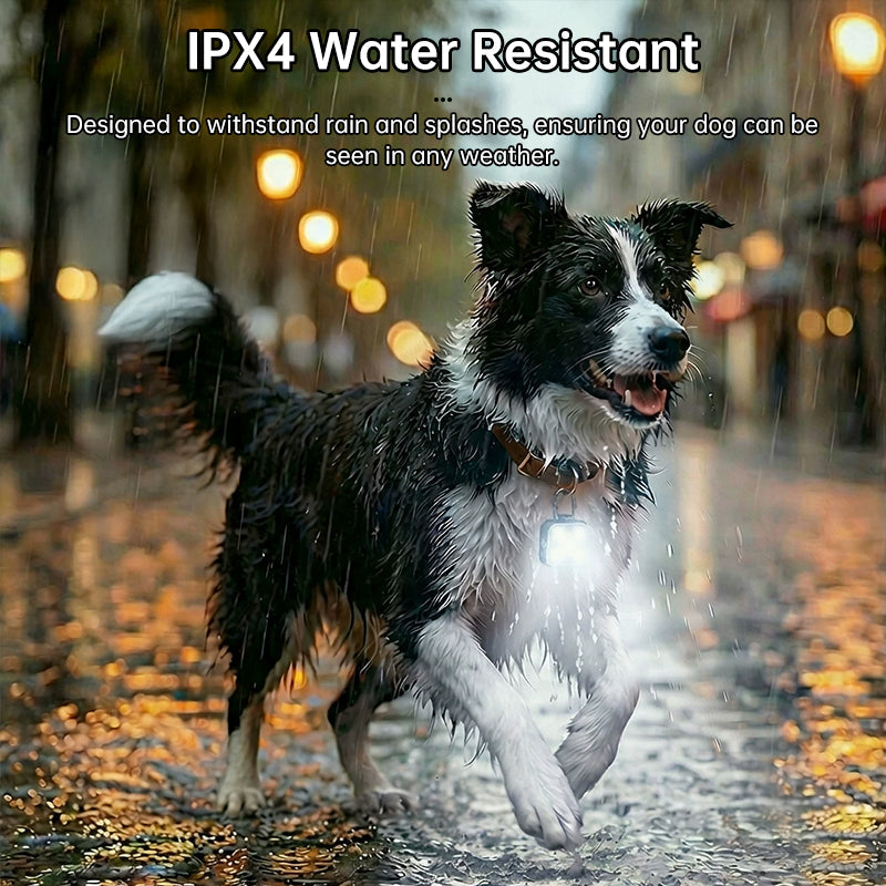 USB Rechargeable LED Pet Safety Light for Night Walks