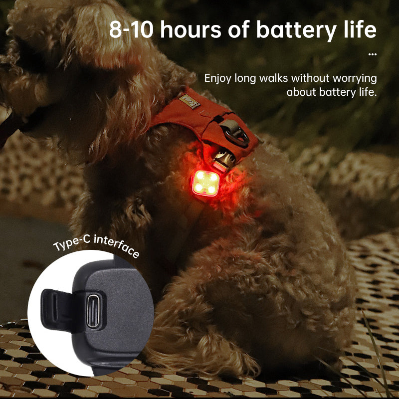 USB Rechargeable LED Pet Safety Light for Night Walks