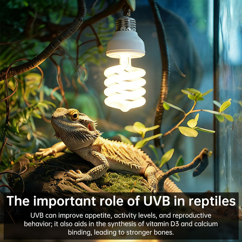 UVB Reptile Lamp for Calcium-Supporting Enclosure Light