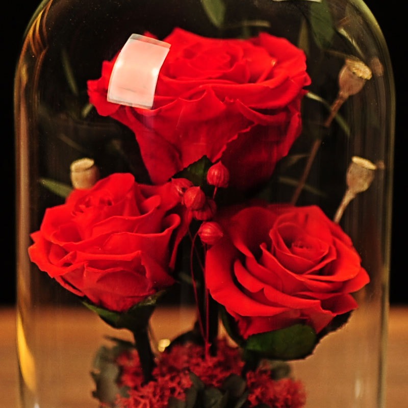 Preserved Rose Dome Gift for Lasting Romantic Decor