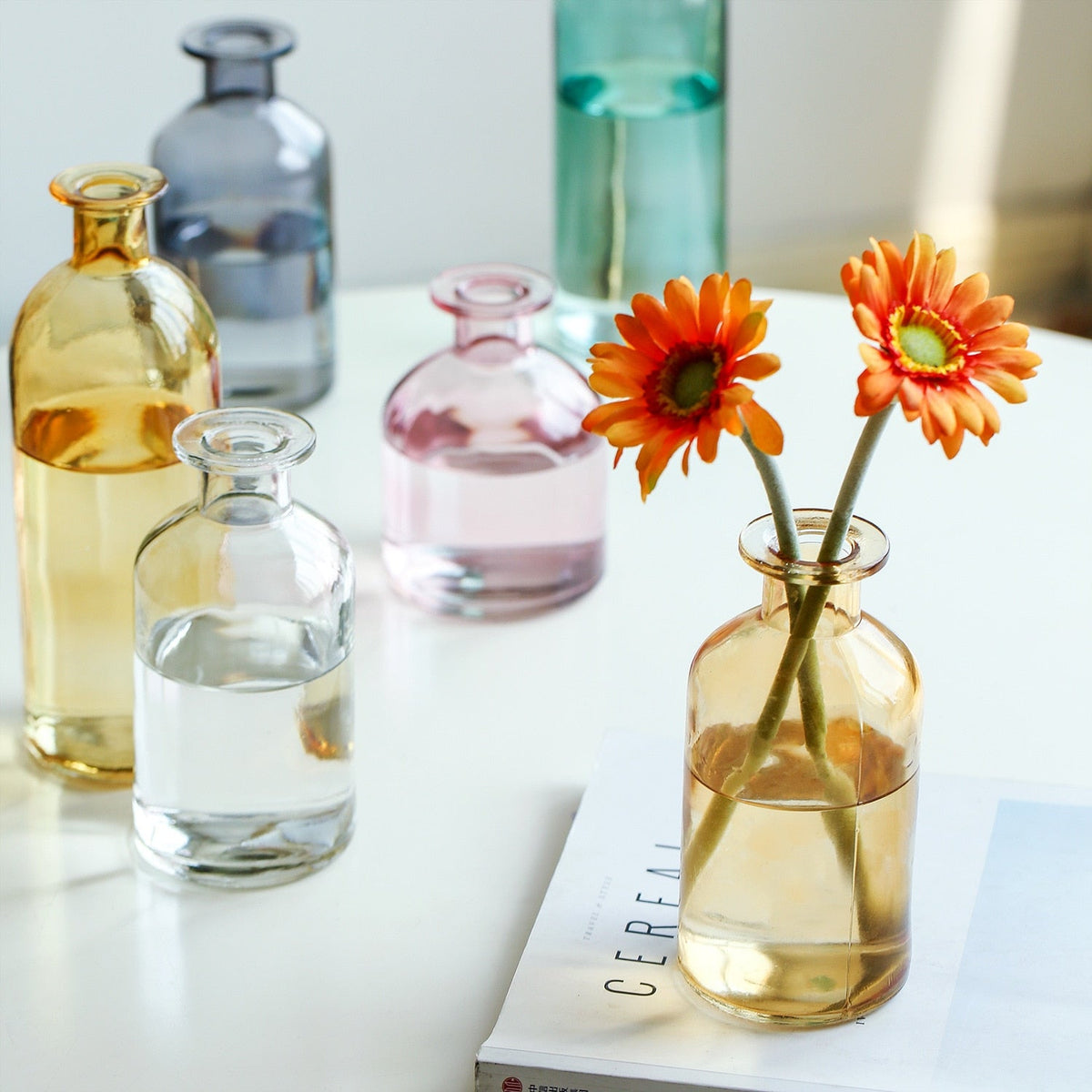 Nordic Tinted Glass Bud Vase for Dried Flowers