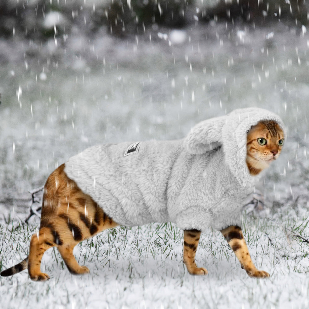 Plush Fleece Cat & Small Dog Winter Coat With Hood
