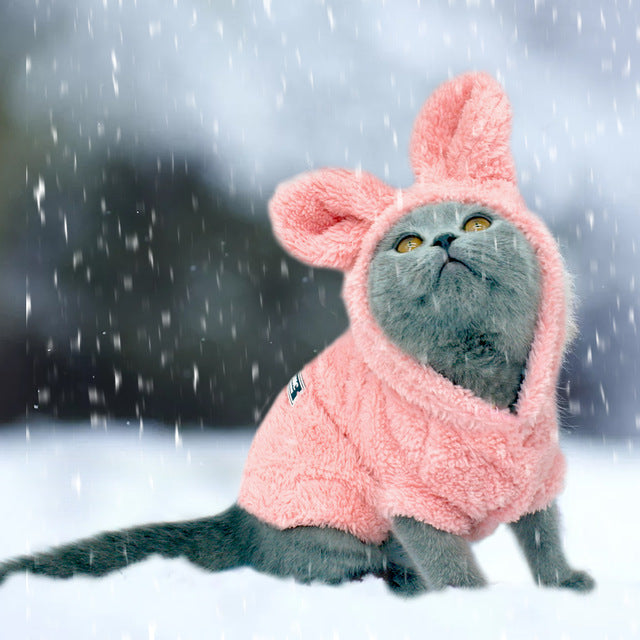 Plush Fleece Cat & Small Dog Winter Coat With Hood