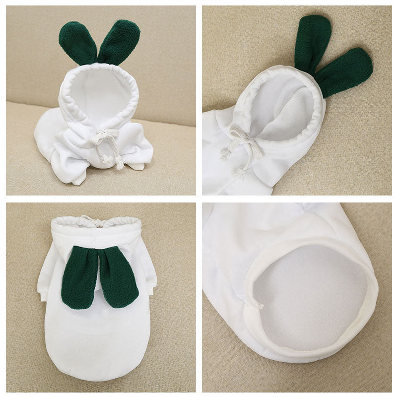 Small Dog Winter Coat Hoodie for Cozy Winter Coverage