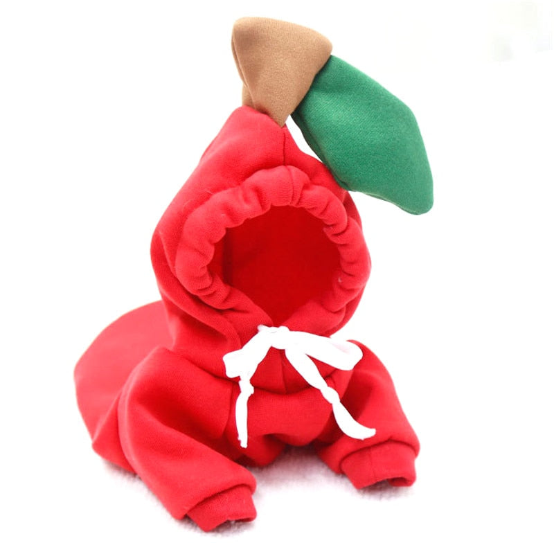 Small Dog Winter Coat Hoodie for Cozy Winter Coverage