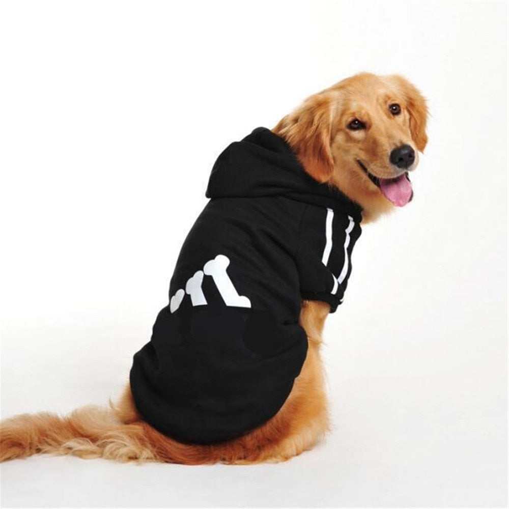 Dog Winter Jacket with Hood for Warm, Stylish Walks
