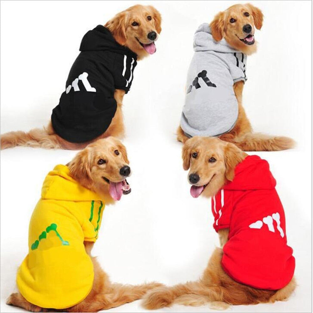 Dog Winter Jacket with Hood for Warm, Stylish Walks