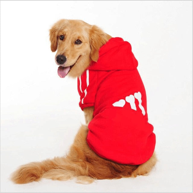 Dog Winter Jacket with Hood for Warm, Stylish Walks