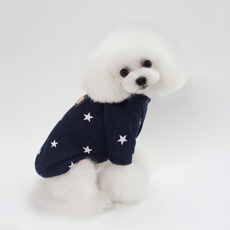 Small Dog Hoodies for Warm Autumn and Winter Walks