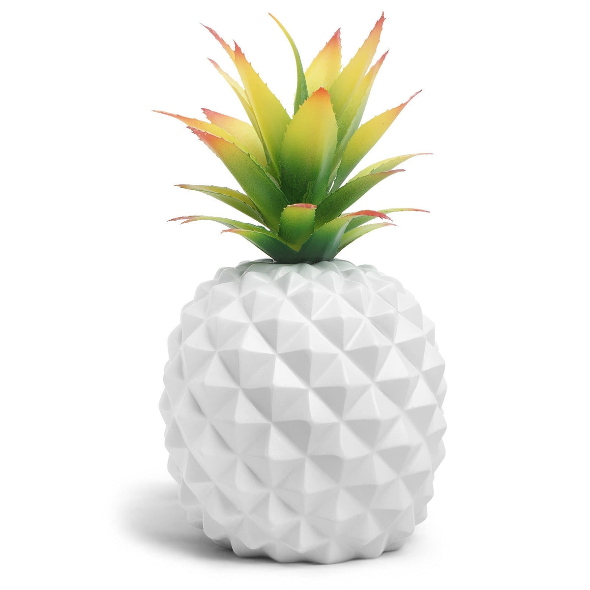 White Pineapple Plant Decor for Low-Maintenance Style