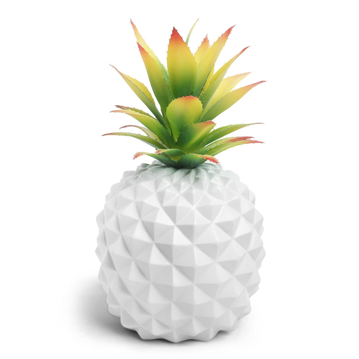White Pineapple Plant Decor for Low-Maintenance Style
