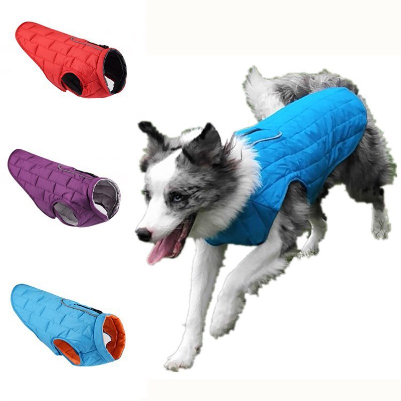Large Dog Winter Coat for Warm, Visible Winter Walks
