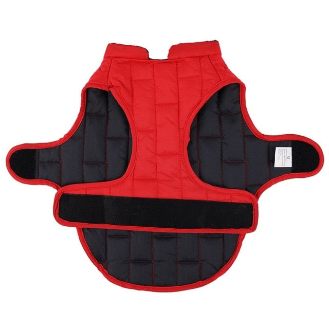 Large Dog Winter Coat for Warm, Visible Winter Walks