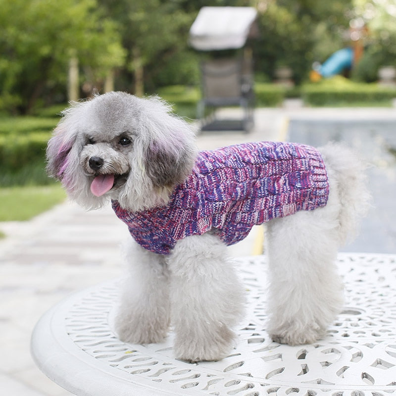 Small Dog Sweater for Warm, Stylish Wintertime Walks