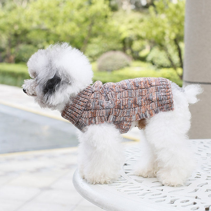 Small Dog Sweater for Warm, Stylish Wintertime Walks