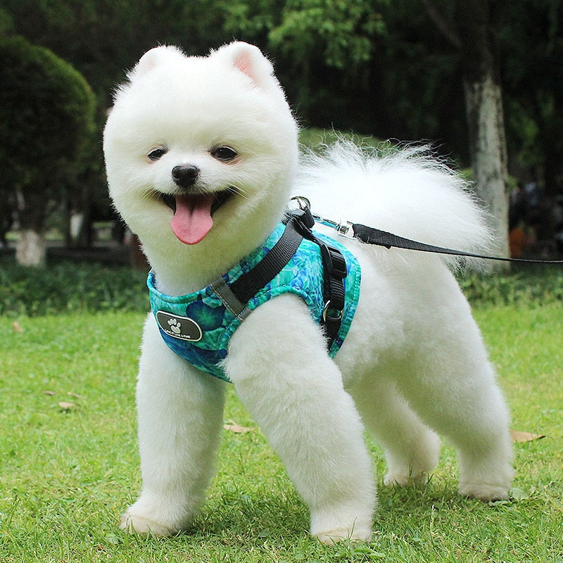 Reflective Dog Harness Vest & Leash Set for Safe Walks