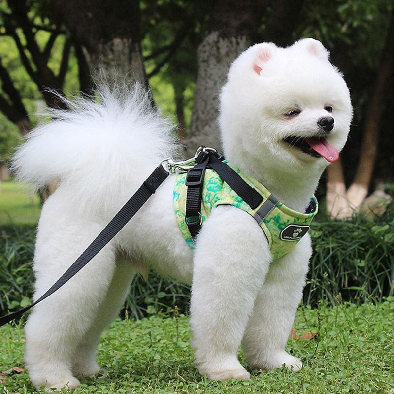 Reflective Dog Harness Vest & Leash Set for Safe Walks