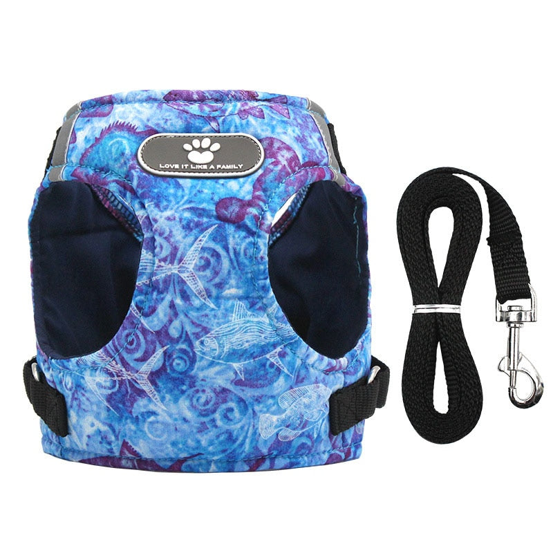 Reflective Dog Harness Vest & Leash Set for Safe Walks