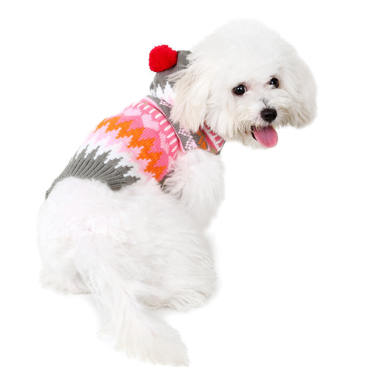 Small Dog Sweater With Hood | Cozy Colorful Winter Outfit