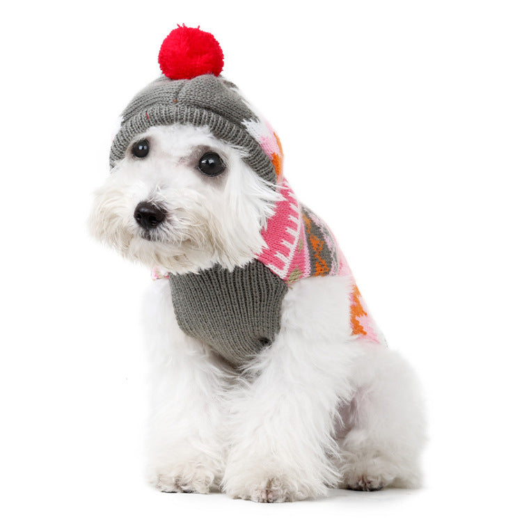 Small Dog Sweater With Hood | Cozy Colorful Winter Outfit